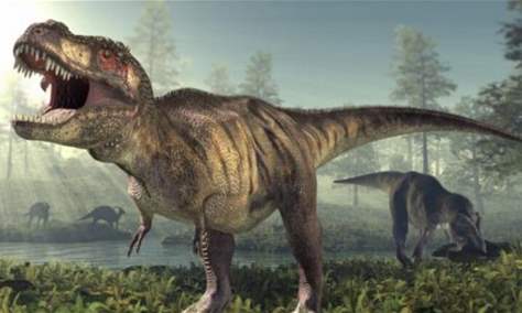 يعود تاريخها إلى ما قبل 125 مليون سنة .. العثور على أحفورة ديناصور في الصين!