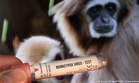 شركة دنماركية ألمانية وحيدة في العالم تملك ترخيصا لإنتاج لقاح مضاد لجدري القرود