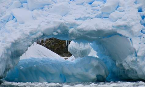 اكتشاف نظام بيئي جديد “أشبه بعالم خفي” تحت جليد القطب الجنوبي