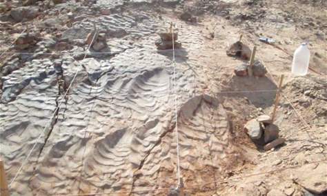 اكتشاف آثار أقدام ديناصورات في لبنان عمرها 125 مليون سنة