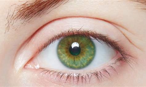 اكتشاف جديد .. علاج العين قد يصبح أكثر أماناً