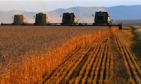 تراجع صادرات الحبوب الأوكرانية في تشرين الأول مقارنة مع نفس الفترة من العام 2021