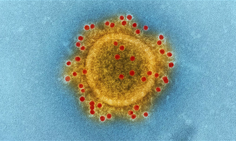 اكتشاف 10 آلاف فيروس جديد أغلبها متخف في أحشاء الأطفال