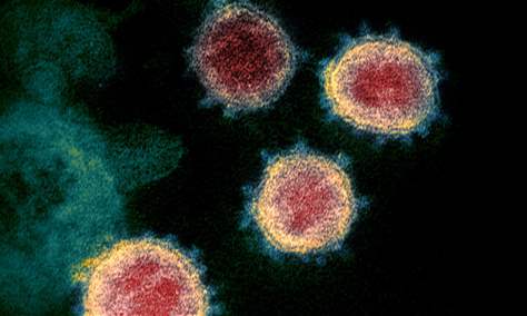 عالم فيروسات يتحدث عن فئة من البشر غير معرضة لخطر الإصابة بكورونا